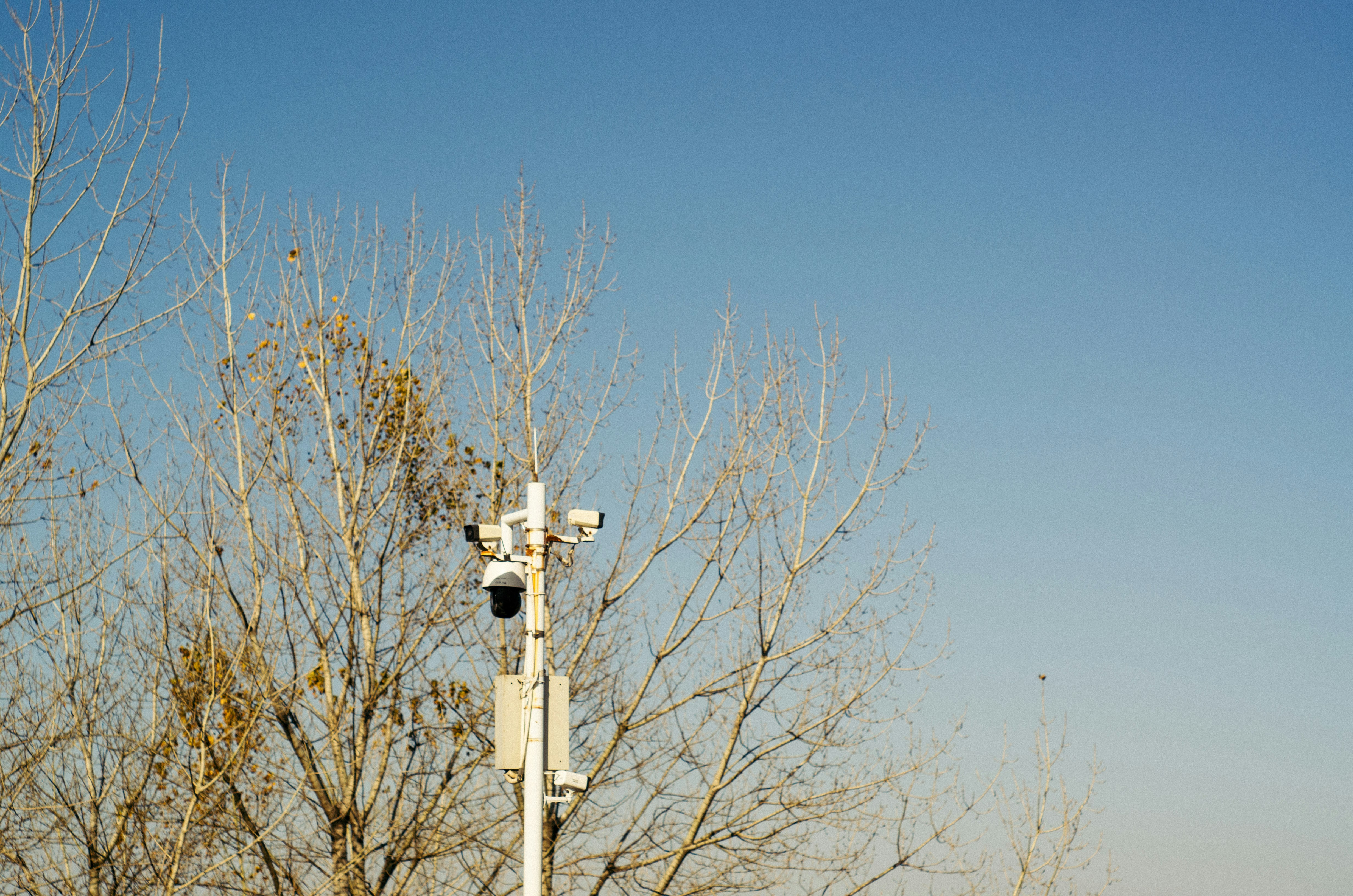 GEO visibility tracker street light